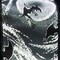 The Ribbon People Black Halloween Bats Printed Wired Craft Ribbon 2.5" x 40 Yards